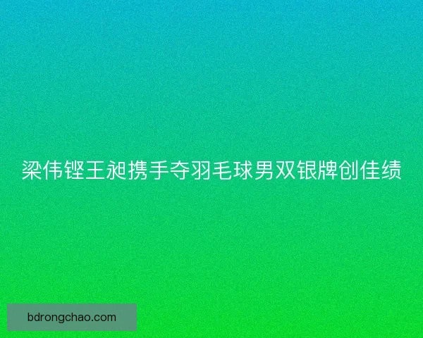 梁伟铿王昶携手夺羽毛球男双银牌创佳绩