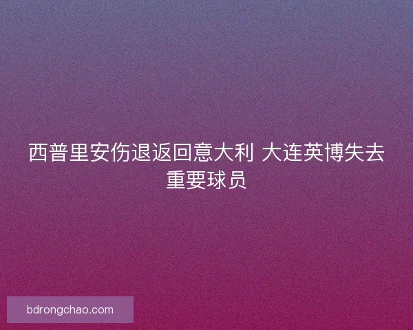 西普里安伤退返回意大利 大连英博失去重要球员 西普里安伤退返回意大利 大连英博失去重要球员