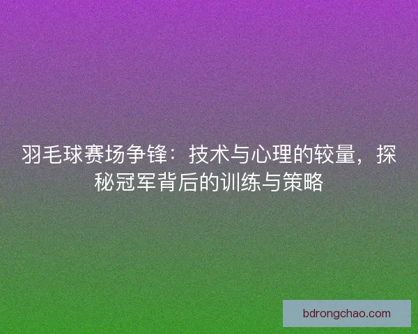 羽毛球赛场争锋：技术与心理的较量，探秘冠军背后的训练与策略